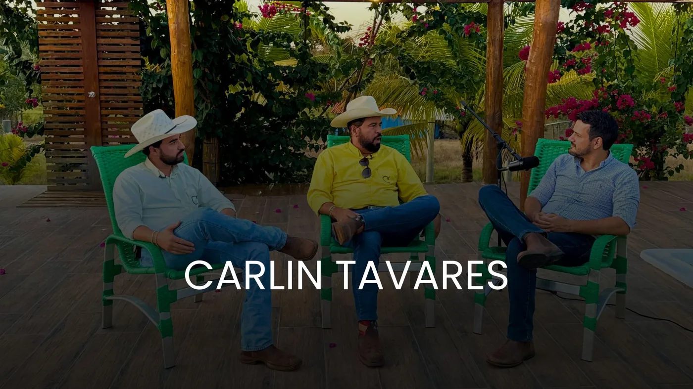 Carlin Tavares